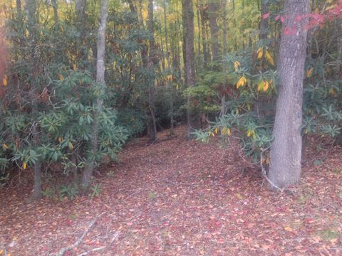 Vacant Land For Sale - Duncan Road<br/> Buckeye, WV 24924