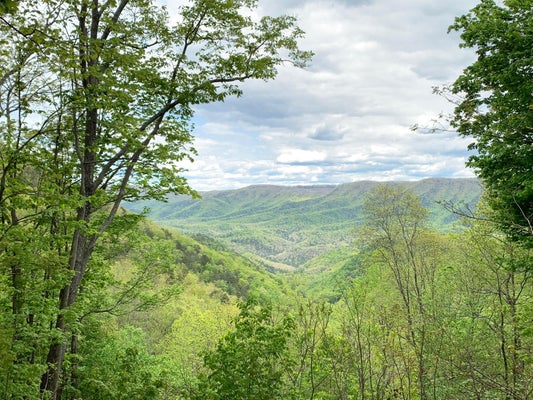 LOT 125 WITHROW LANDING, CALDWELL, WV 24925 - Image c028ebc210a450641863ccc1db85e0cf/3664374884