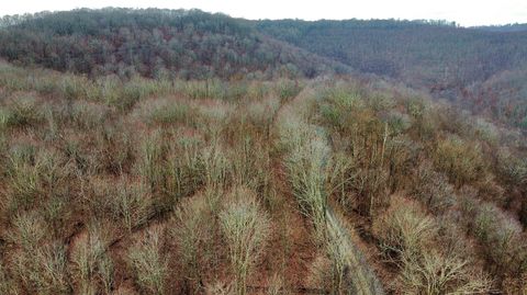 Vacant Land For Sale - Russellville Rd<br/> Greenbrier County, Quinwood, WV 25981