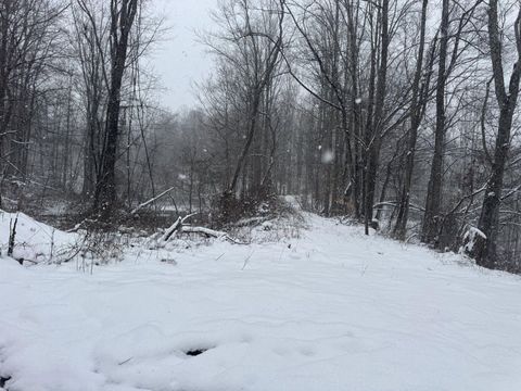 Vacant Land For Sale - 435 Old Long Branch Rd<br/> Fayette County, Pax, WV 25904