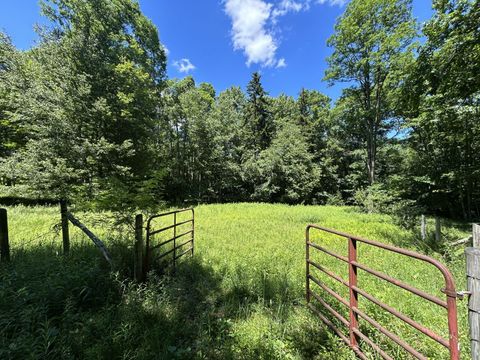 Vacant Land For Sale - 1835 E Woodrow Branch Rd<br/> Pocahontas County, Marlinton, WV 24954