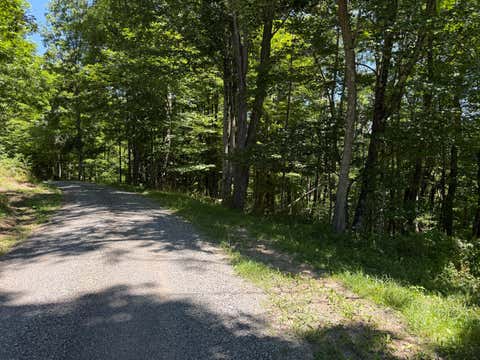 Vacant Land For Sale - 9 Lower Cherry Grove<br/> Slatyfork, WV 26291