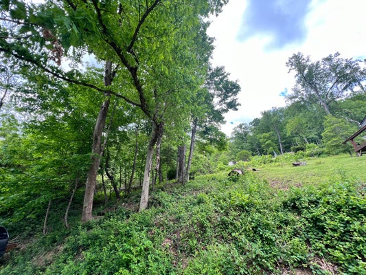 HILL ST, GAULEY BRIDGE, WV 25085 - Image ce6151b06e90cb4303f4e0f5e3bbf3e7/2602944833