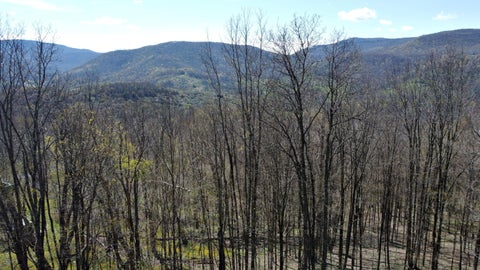 Vacant Land For Sale - 15 Hawthorne Ridge Rd<br/> Slatyfork, WV 26291