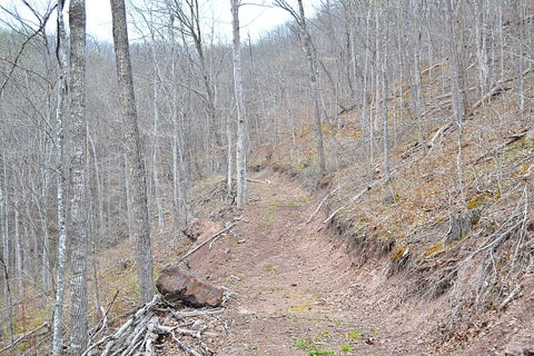 Vacant Land For Sale - Snake Run Rd<br/> Greenbrier County, Dawson, WV 24910