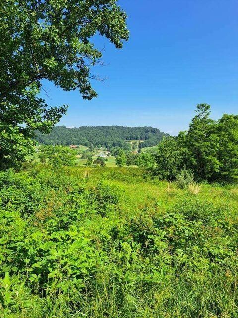 Vacant Land For Sale - Fairway View Drive<br/> Monroe County, Peterstown, WV 24963