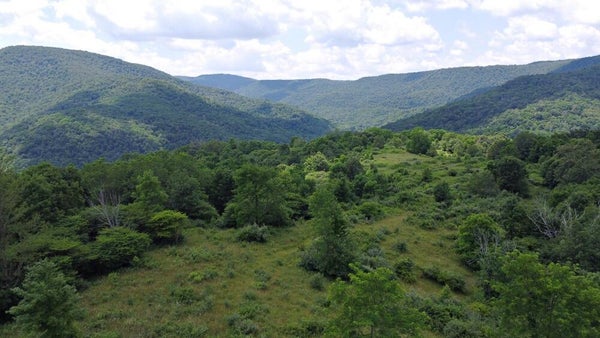 LINWOOD RD, SLATYFORK, WV 26291 - Image d4f0c2aaae942acf982eddeea5dfbc40/1705171839