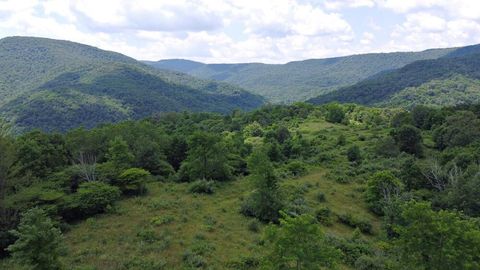 Vacant Land For Sale - Linwood Rd<br/> Slatyfork, WV 26291