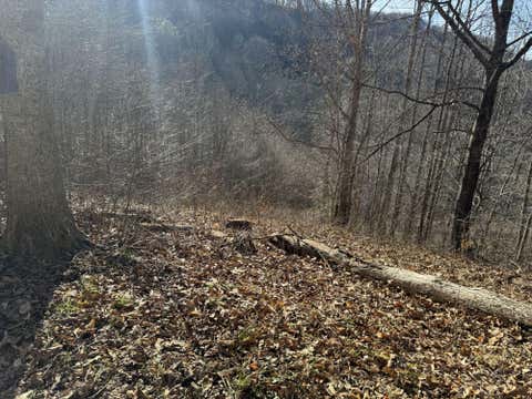 Vacant Land For Sale - 222 Knight Ln<br/> Braxton County, Sutton, WV 26601