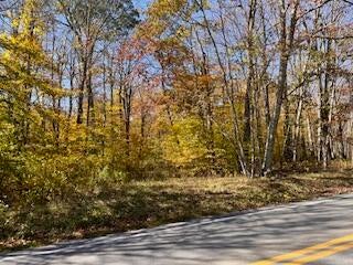 Vacant Land For Sale - 34-37 North Woods<br/> Snowshoe, WV 26209