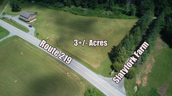 37787 SENECA TRL, SLATYFORK, WV 26291 - Image d81336c8b88e91f8f6bf354e06ecfbb5/386763882