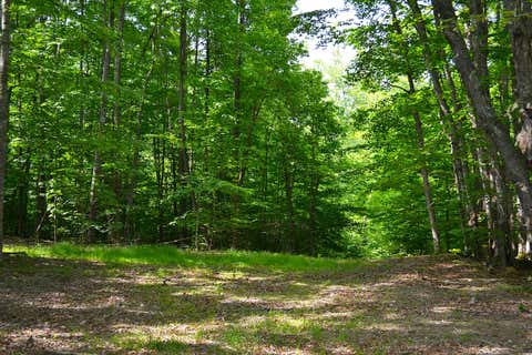 Vacant Land For Sale - Cold Hollow Rd<br/> Rainelle, WV 25962