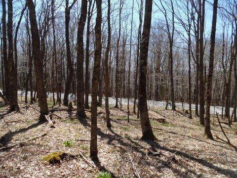 Vacant Land For Sale - 6181 Cass Road<br/> Slatyfork, WV 26291