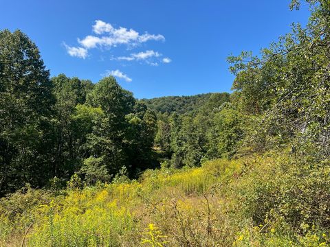 Vacant Land For Sale - Hamilton Ridge Road<br/> Greenbrier County, Alderson, WV 24910