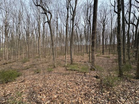 Vacant Land For Sale - Woodland Drive<br/> Lewisburg, WV 24901