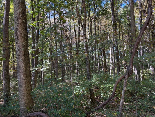 ADDRESS PRIVATE, LEWISBURG, WV 24901 - Image de08b5d8d42a1e81da0ea2024c76b82f/3234024111