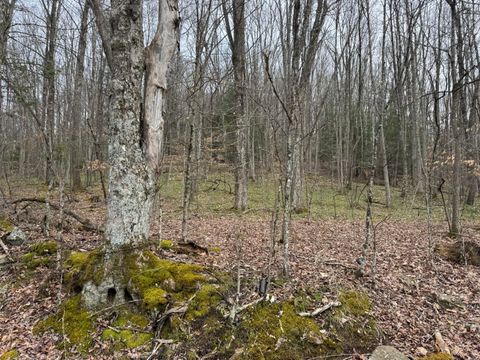 Vacant Land For Sale - Sugar Camp Rd<br/> Nicholas County, Craigsville, WV 26205