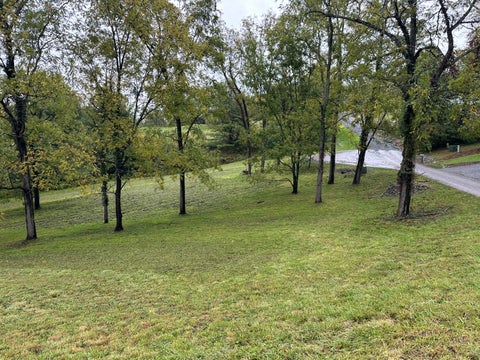 Vacant Land For Sale - LOT 41/42 Fairway View Dr<br/> Monroe County, Peterstown, WV 24963