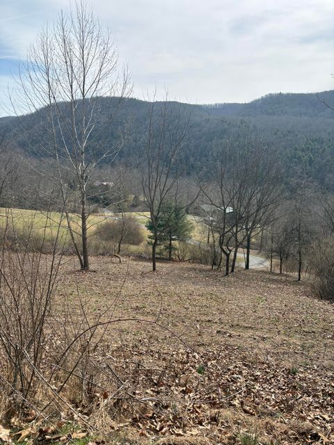 Vacant Land For Sale - Hillside Bluffs<br/> Buckeye, WV 24924