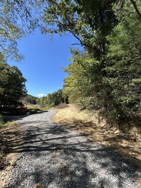 Vacant Land For Sale - 400 Chicken House Run Rd<br/> Pocahontas County, Hillsboro, WV 24946