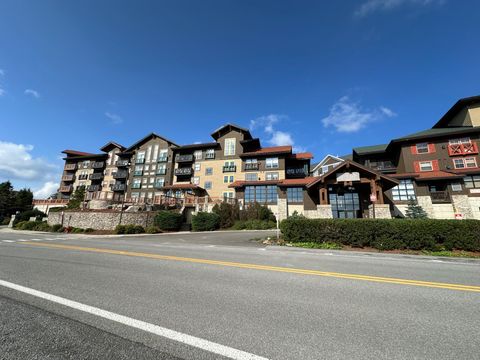 Homes For Sale - 6175 Snowshoe Dr<br/> Snowshoe, WV 26209