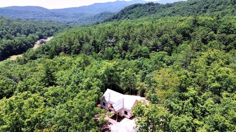 Homes For Sale - 4 Laurel Ridge<br/> Buckeye, WV 24924