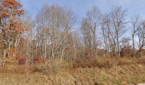 Vacant Land For Sale - Morris Branch Road<br/> Meadow Bridge, WV 25976