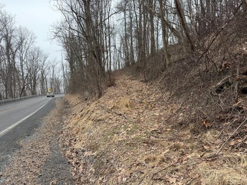 Vacant Land For Sale - N Route 219<br/> Renick, WV 24966