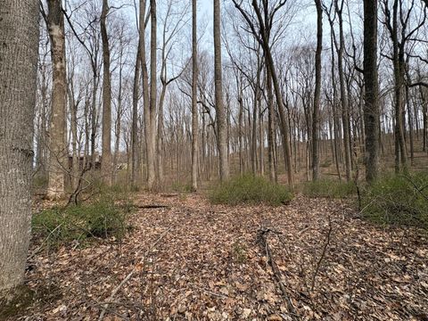 Vacant Land For Sale - 4 LOTS Woodland Drive<br/> Lewisburg, WV 24901