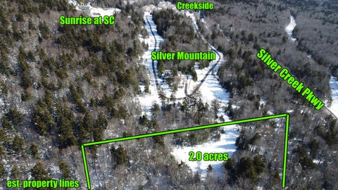 Vacant Land For Sale - Silver Creek Parkway<br/> Snowshoe, WV 26209