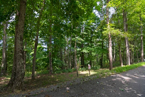 Vacant Land For Sale - LOT 146 Withrow Landing<br/> Greenbrier County, Caldwell, WV 24925