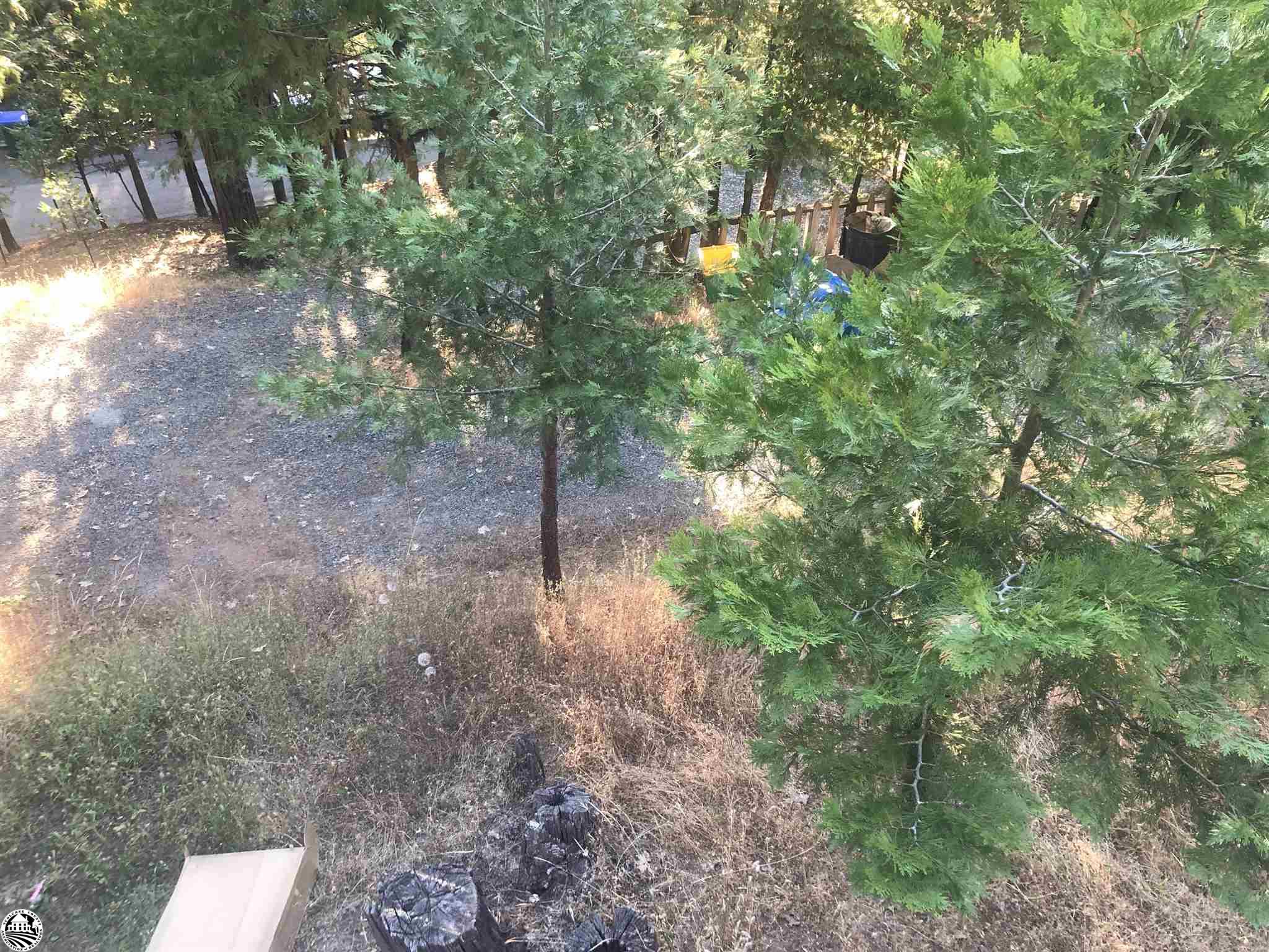 Twain Harte, California 95383, United States, 3 Bedrooms Bedrooms, ,2 BathroomsBathrooms,Residential,Pending,69799