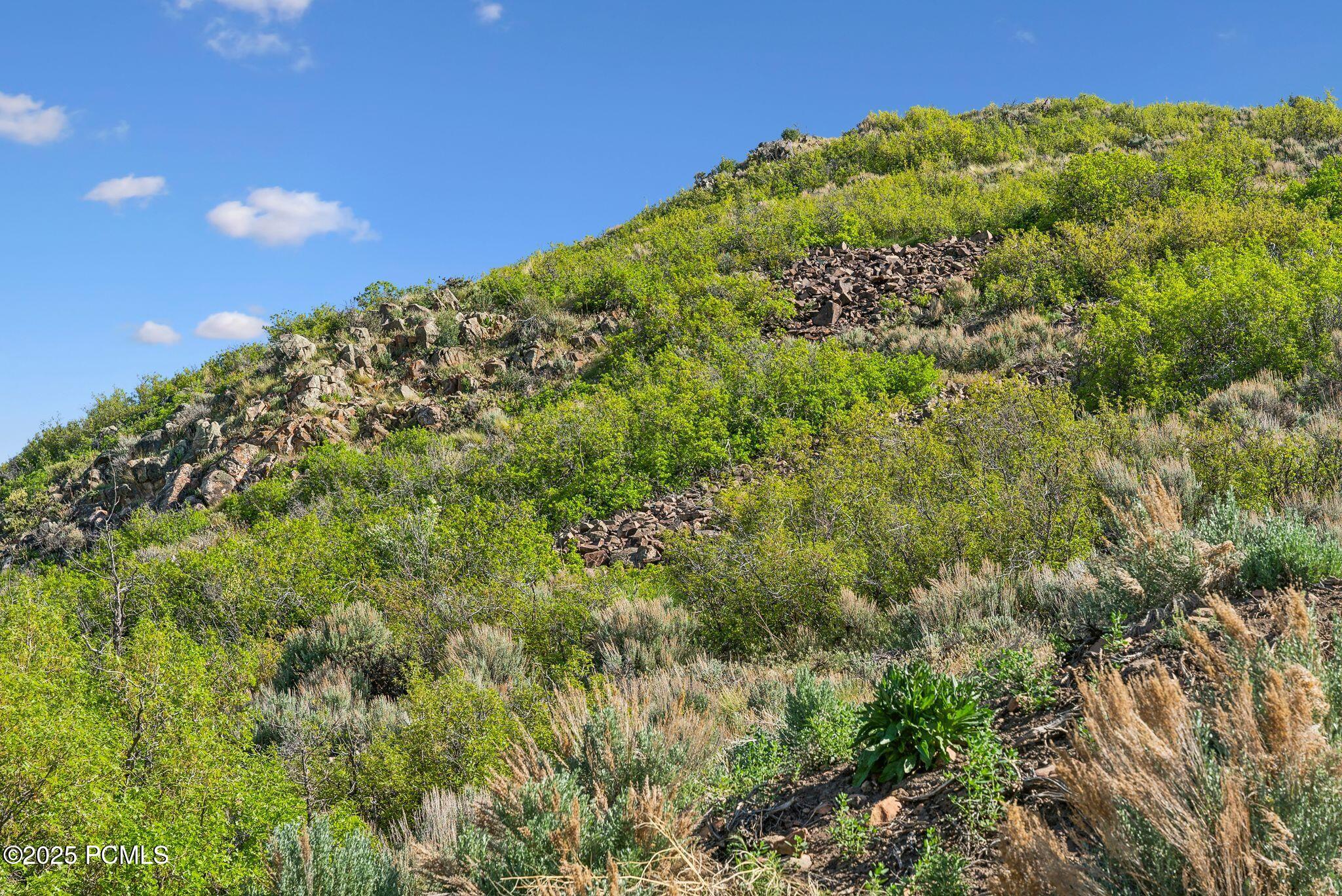 1421 E State Road 35, Kamas, Utah image 15