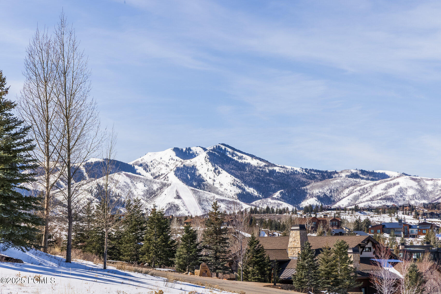 295 Hollyhock Street, Park City, Utah image 3