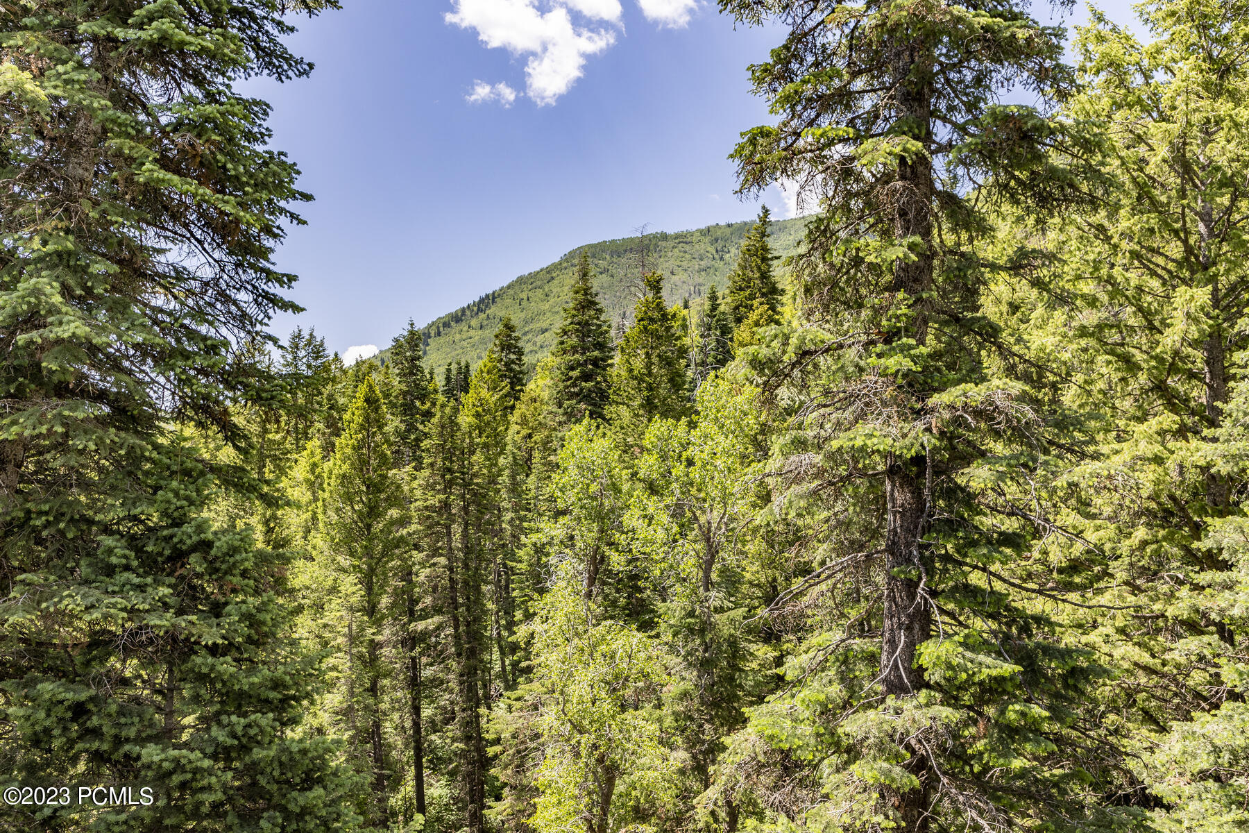 2387 Happiness Trail, Midway, Utah image 23