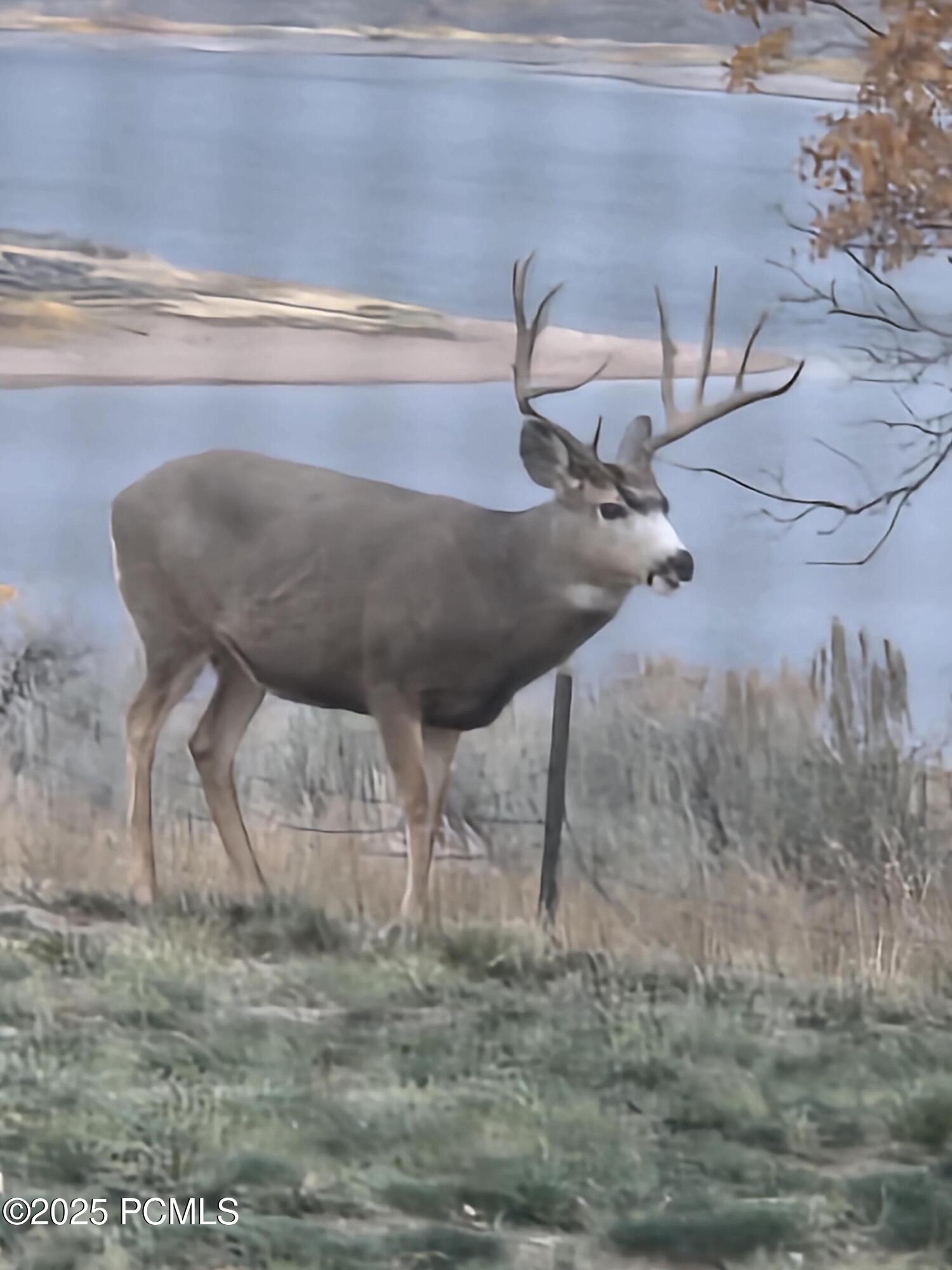 9984 N Rail Trail Loop, Heber City, Utah image 49