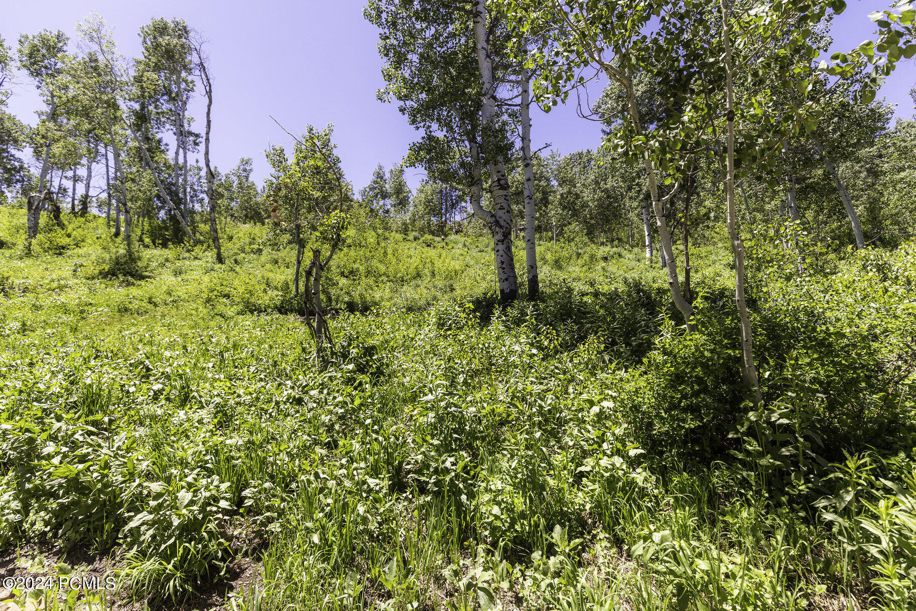 1688 Pine Loop Road, Coalville, Utah image 7