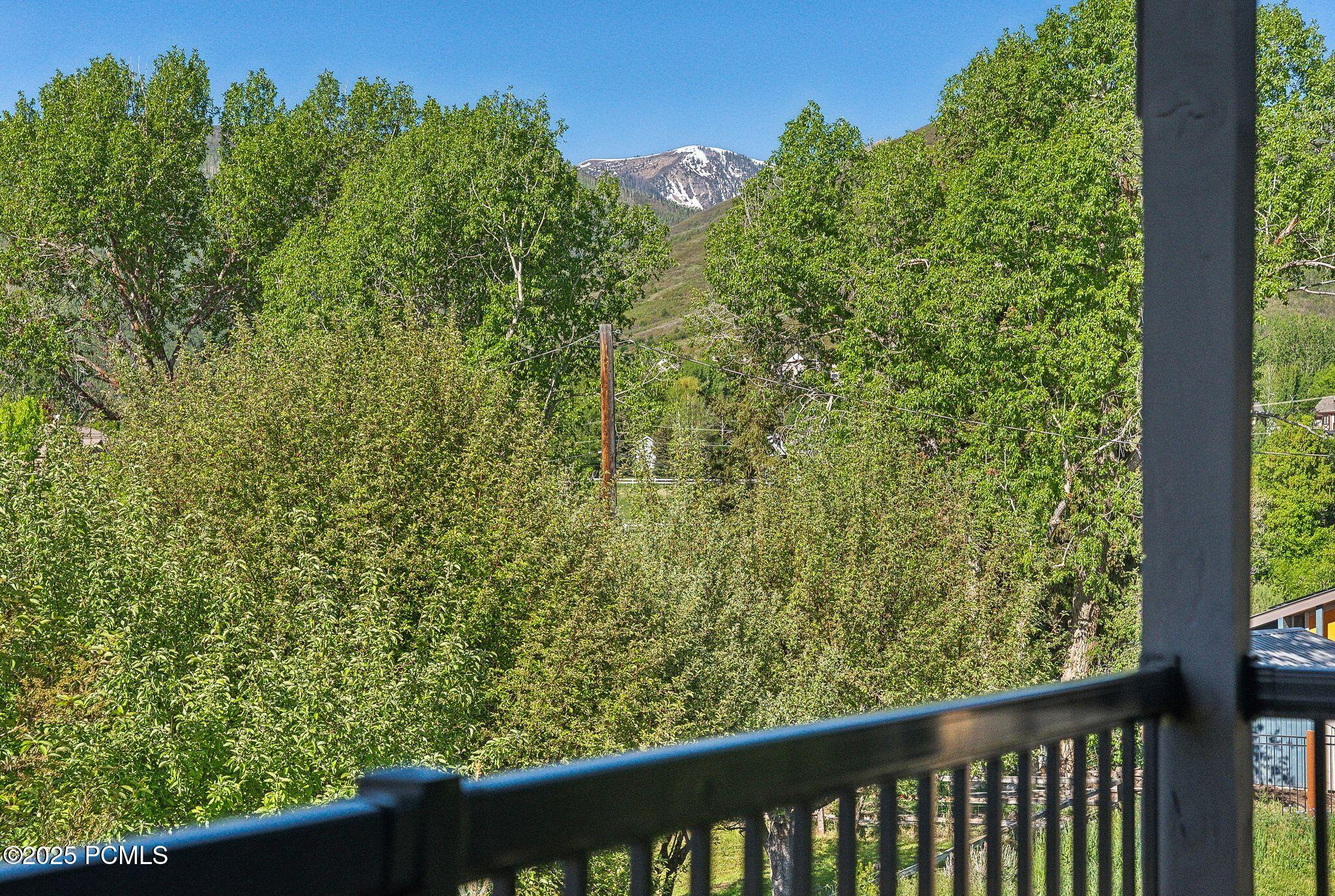 1127 N 520 West #40, Midway, Utah image 49