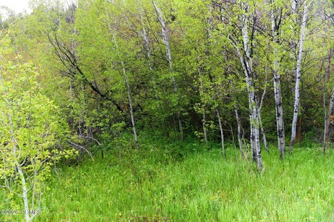 Vacant Land For Sale - 1937 Ut-150 Lot 2<br/> Kamas, UT 84036
