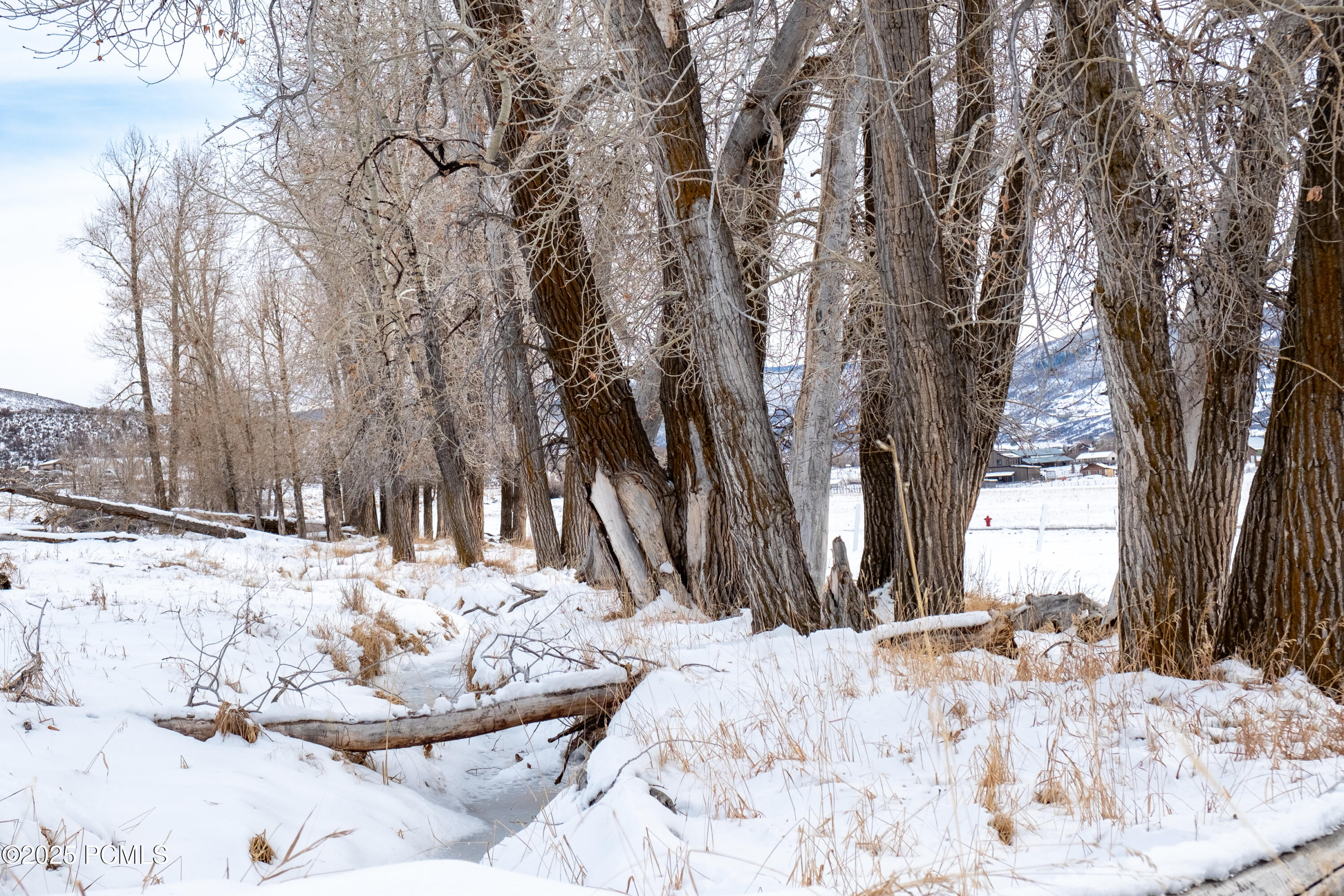 Kamas, Utah 84036, United States, ,Land,Active,206632