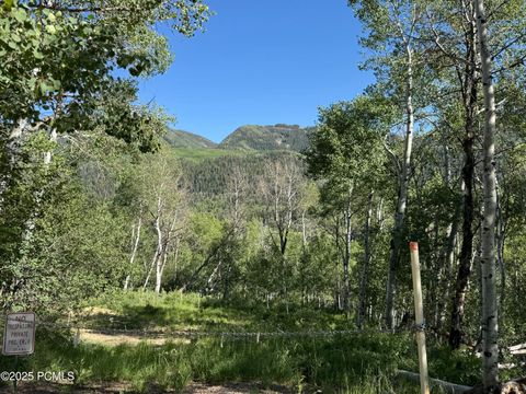 Vacant Land For Sale - 5592 Fremont Trail<br/> Oakley, UT 84055