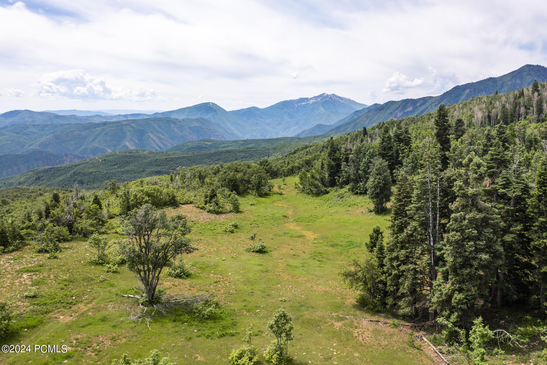 533 N Left Fork Hobble Creek Canyon, Springville, Utah image 19