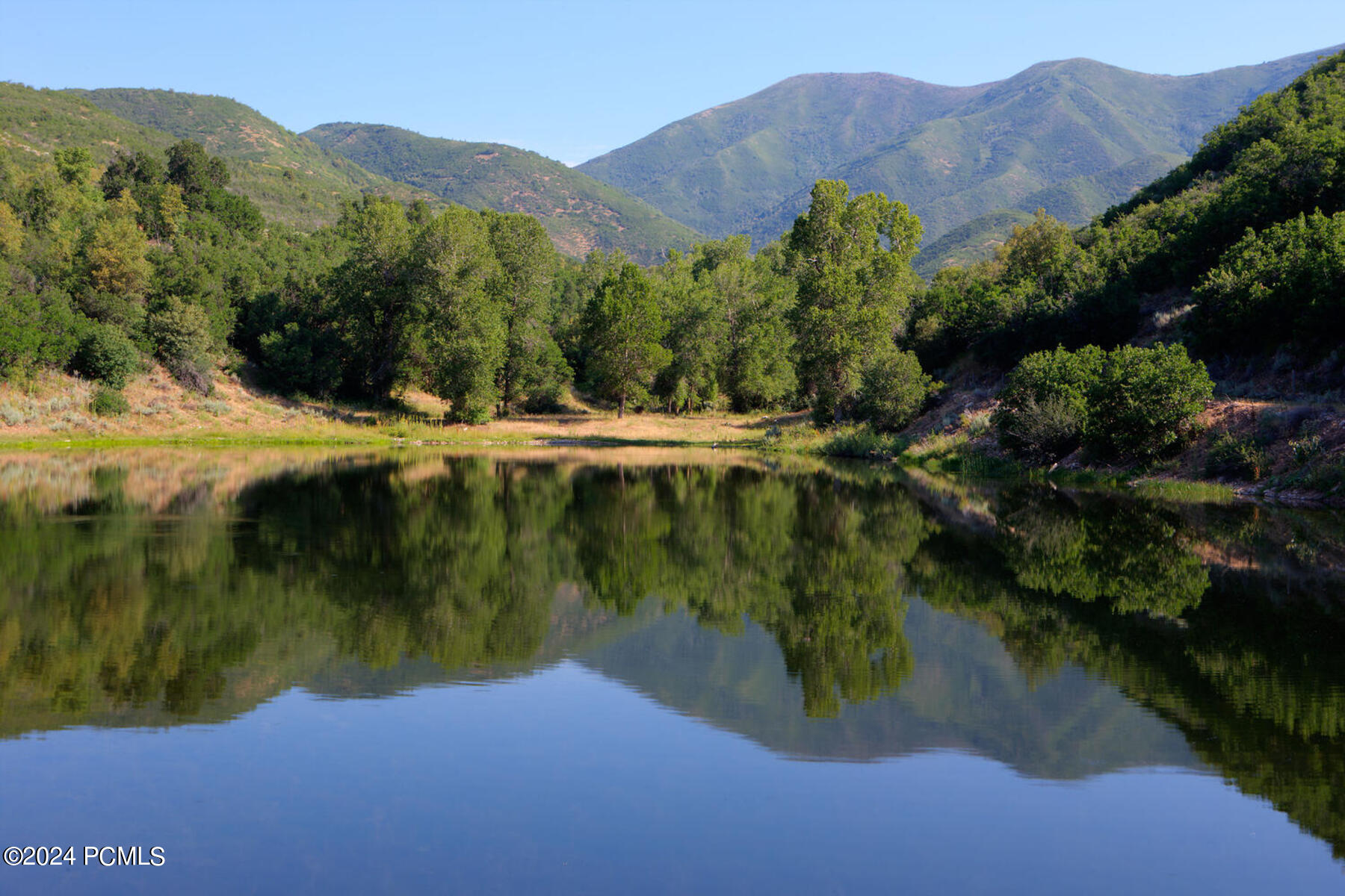 533 N Left Fork Hobble Creek Canyon, Springville, Utah image 17