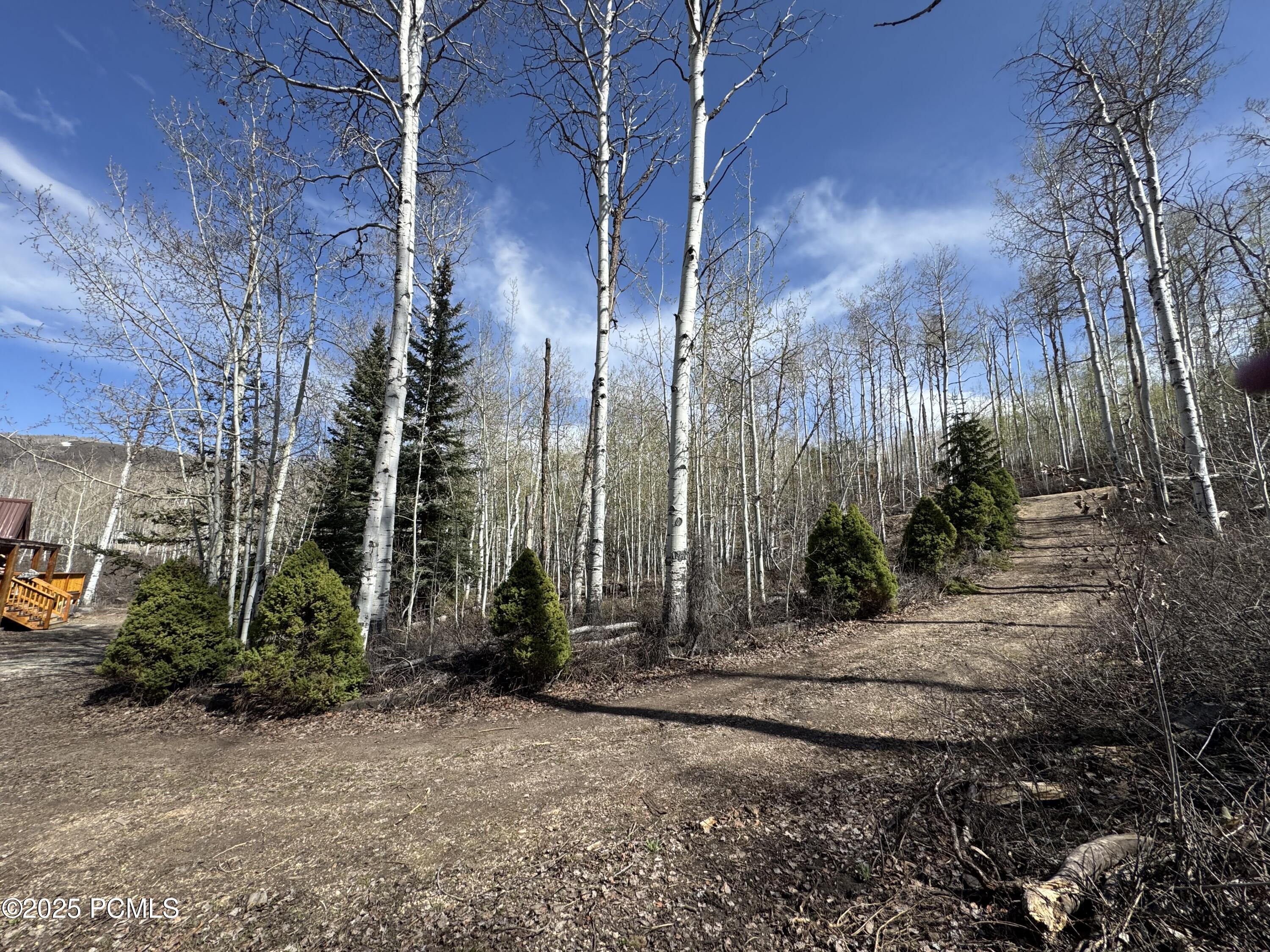 10737 E Tanglewood Drive, Heber City, Utah image 4