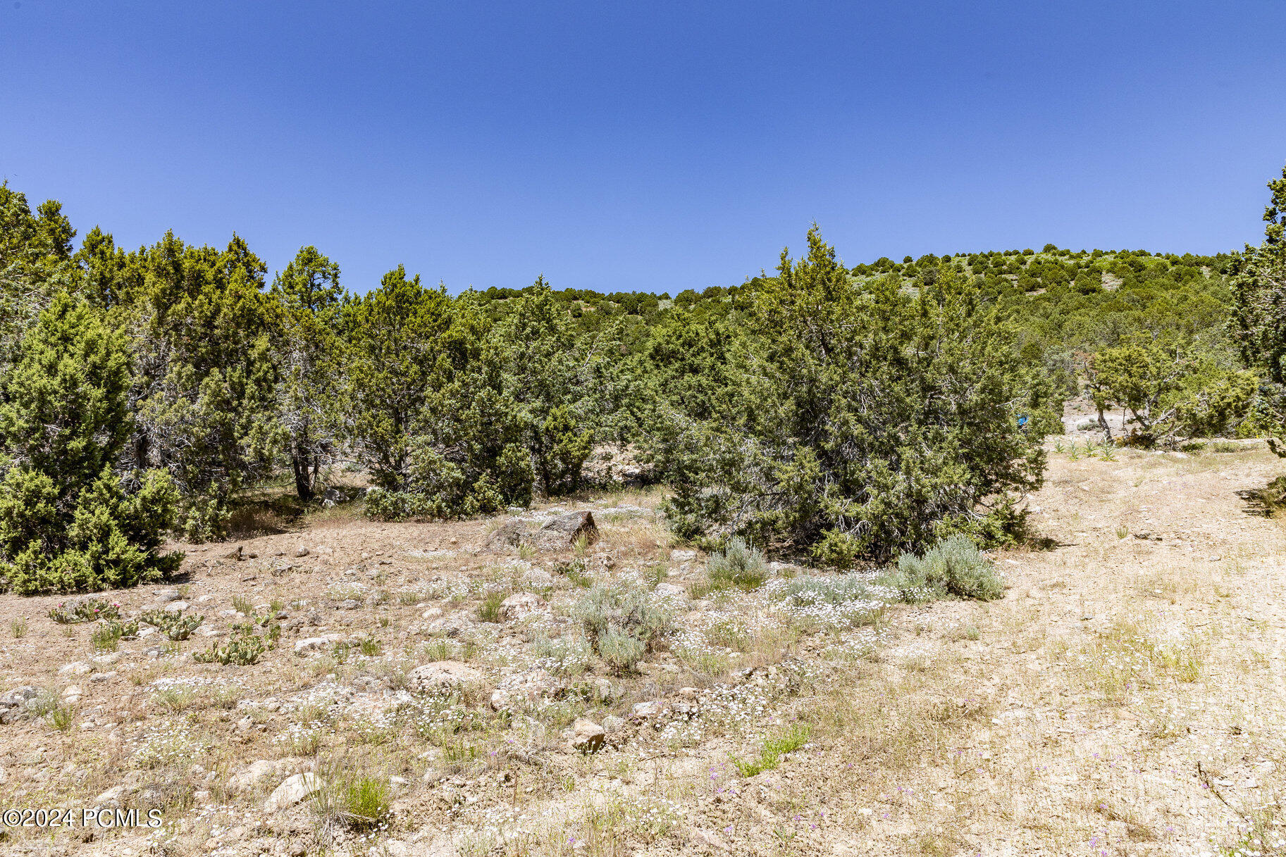 3002 E La Sal Peak Drive, Heber City, Utah image 5