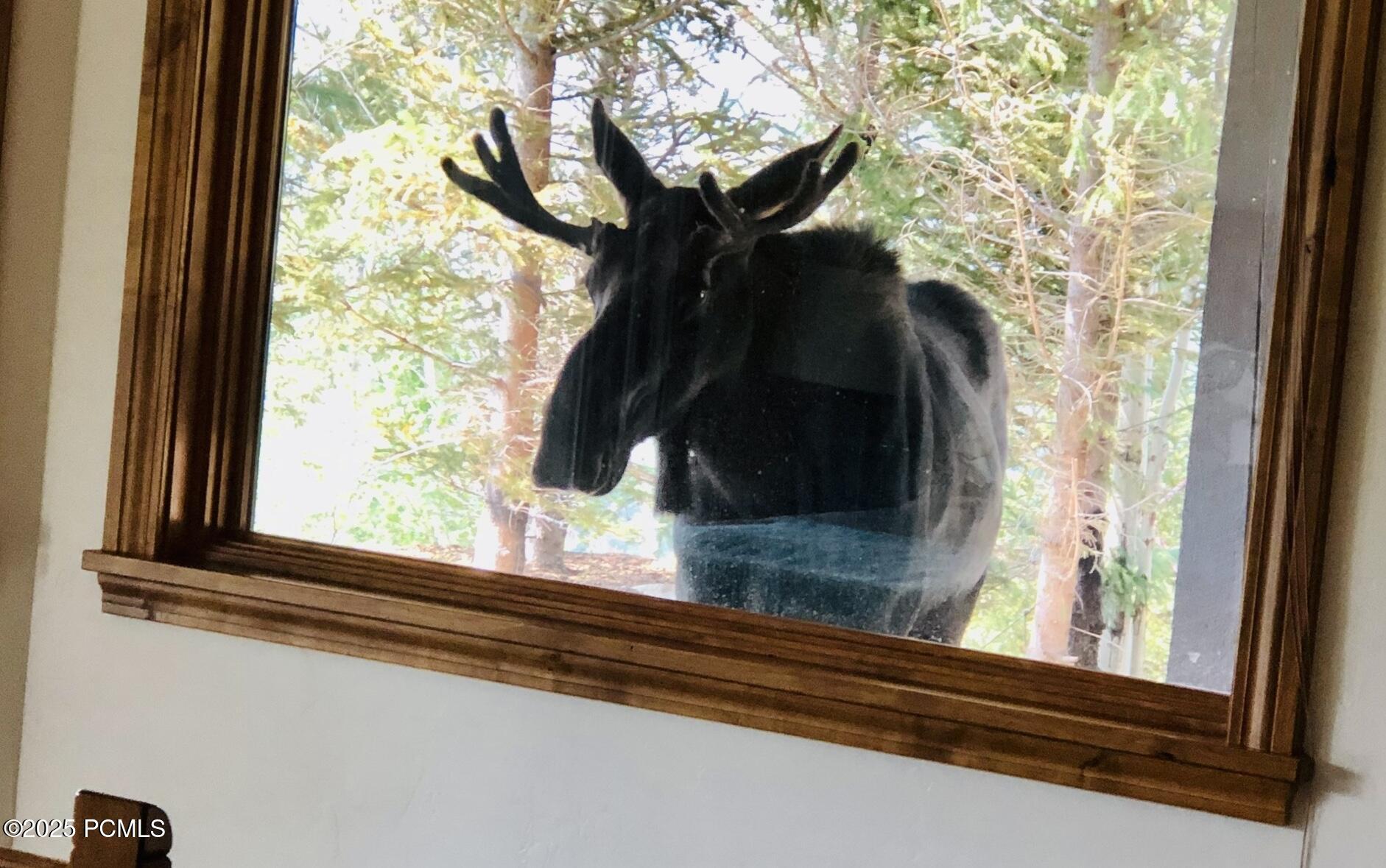 Park City, Utah 84098, United States, 4 Bedrooms Bedrooms, ,4 BathroomsBathrooms,Residential,Active,256220