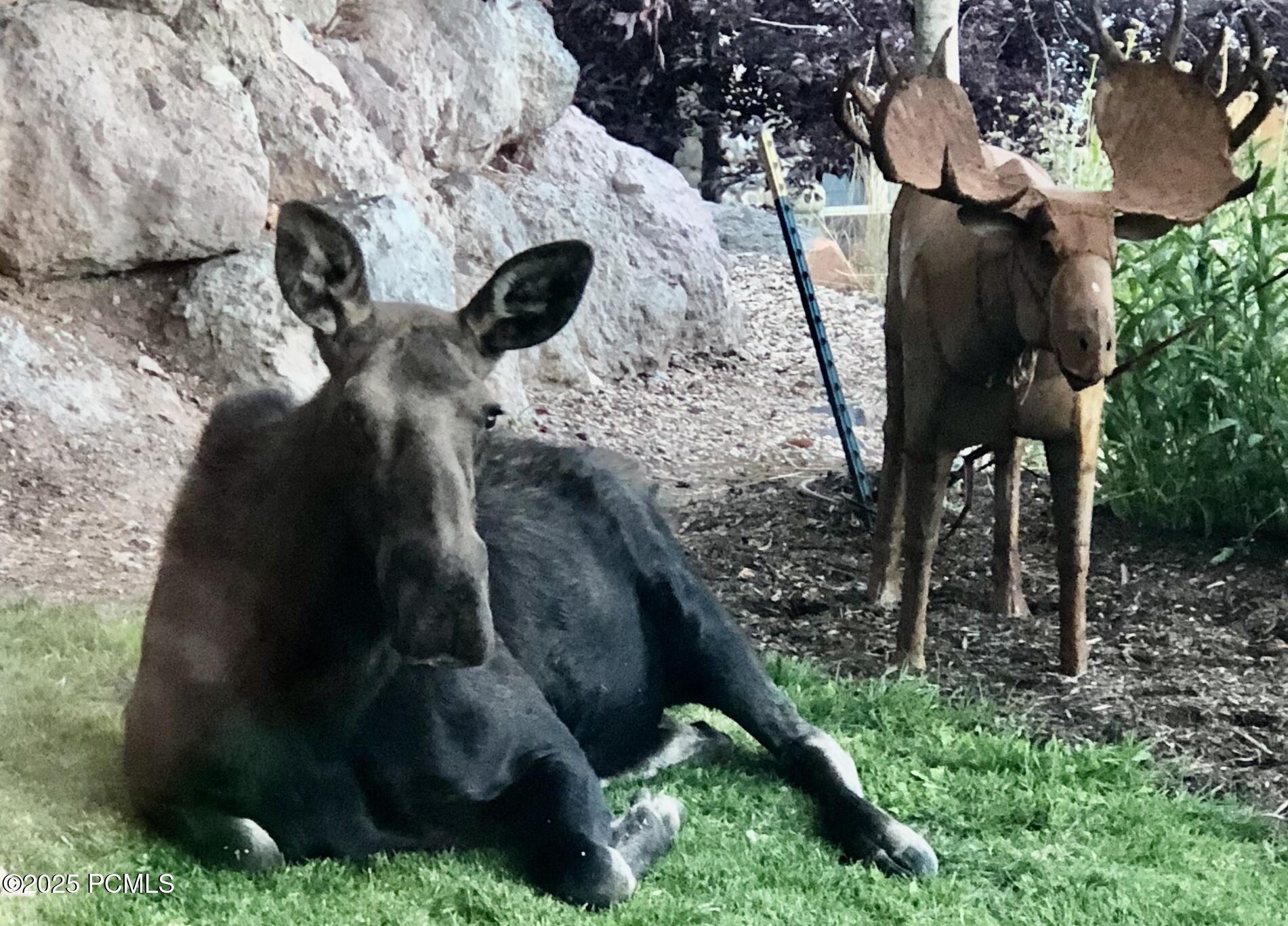 Park City, Utah 84098, United States, 4 Bedrooms Bedrooms, ,4 BathroomsBathrooms,Residential,Active,256220