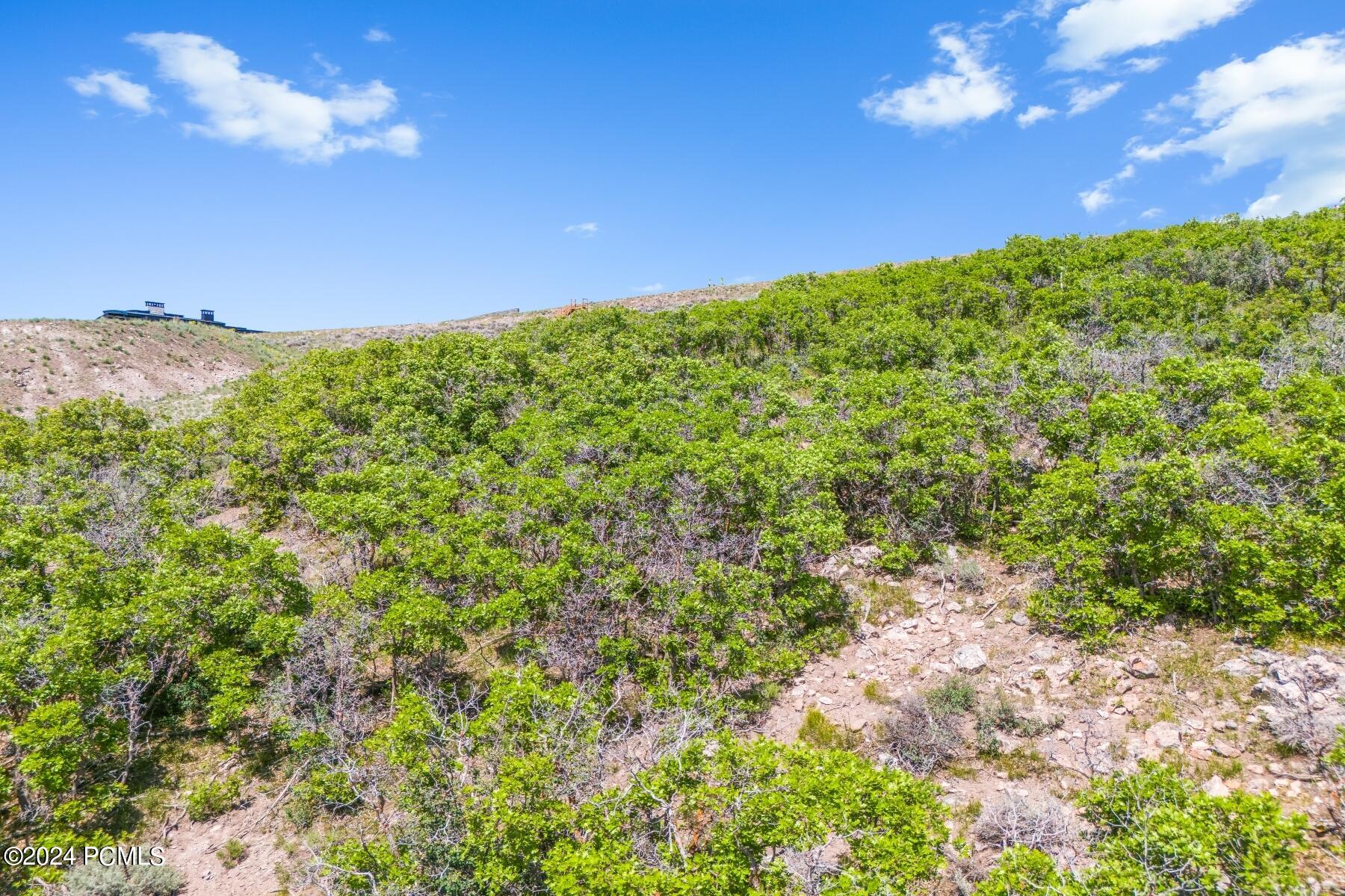 Park City, Utah 84098, United States, ,Land,Active,257359