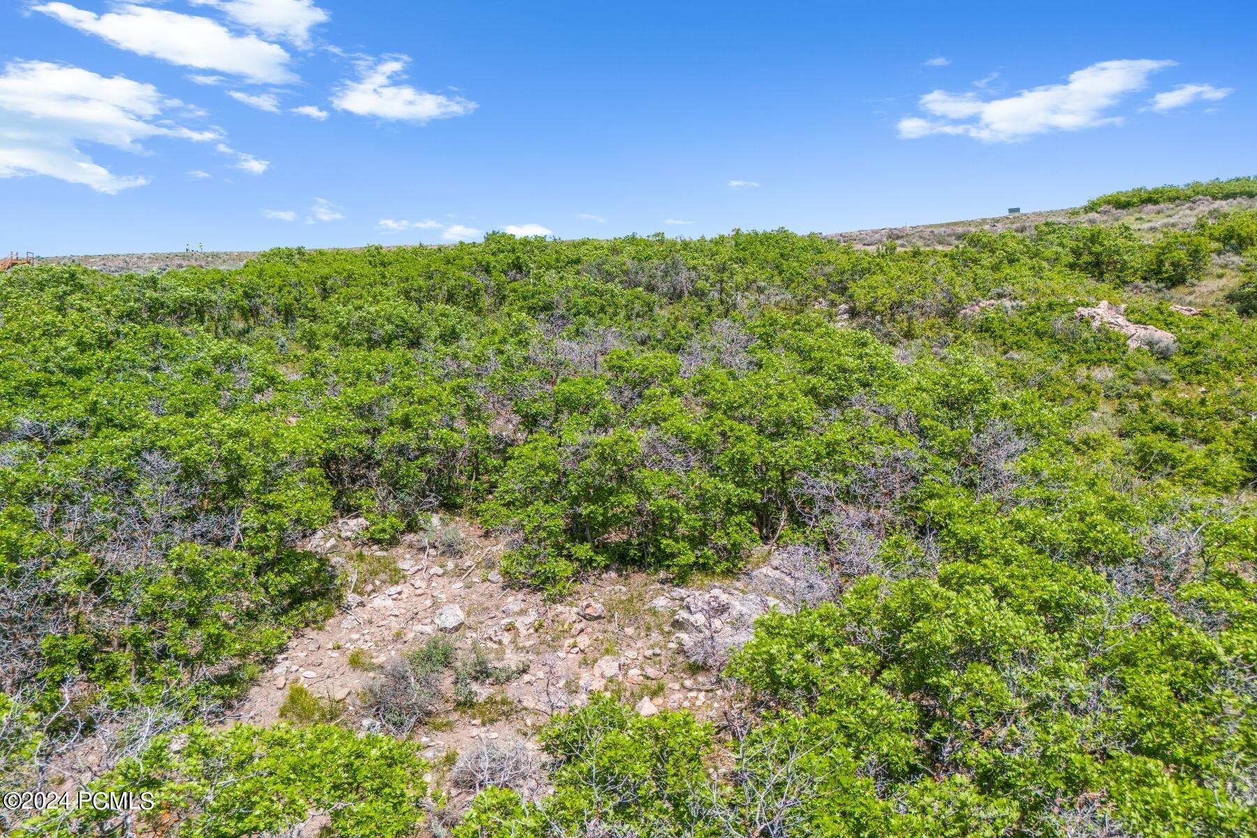 Park City, Utah 84098, United States, ,Land,Active,257359