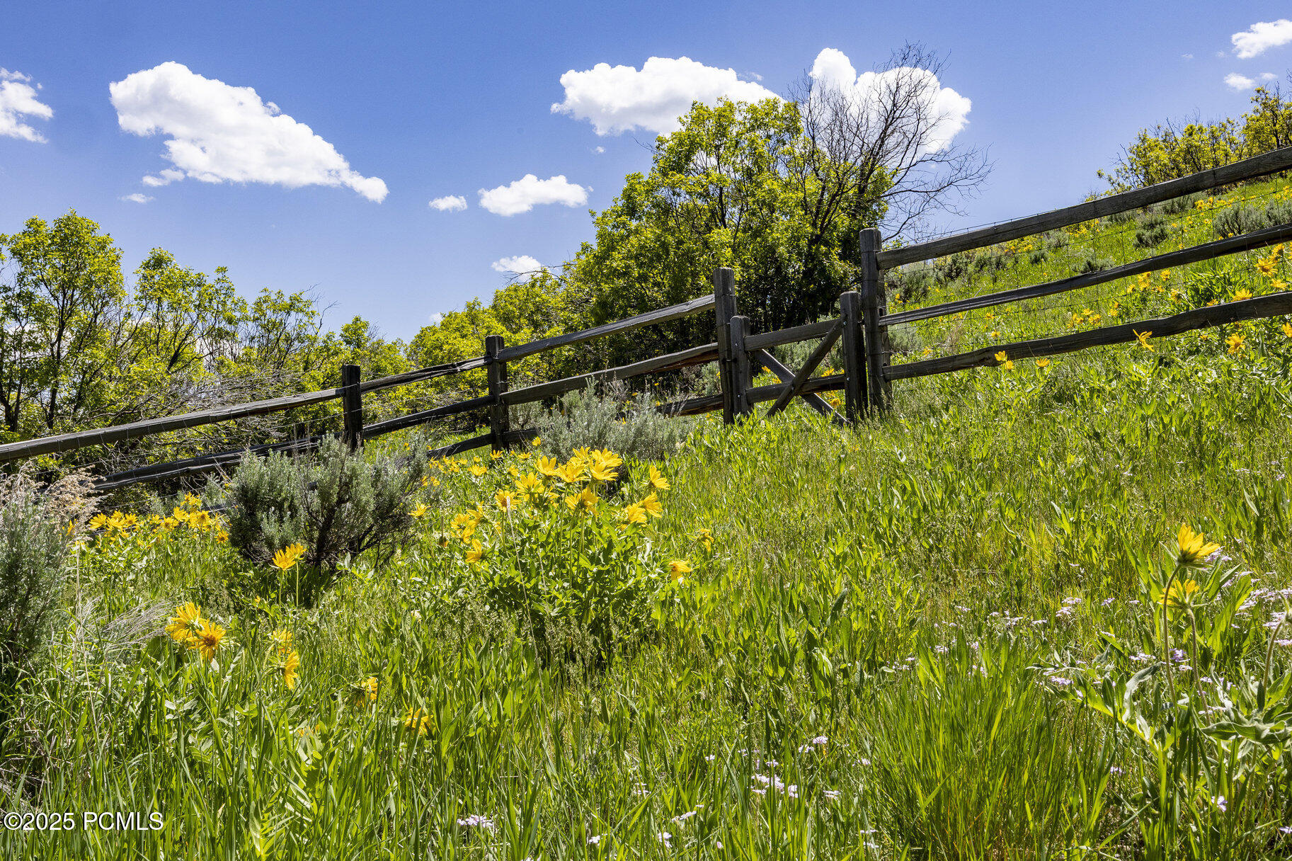 480 E Saddle Drive, Midway, Utah image 14